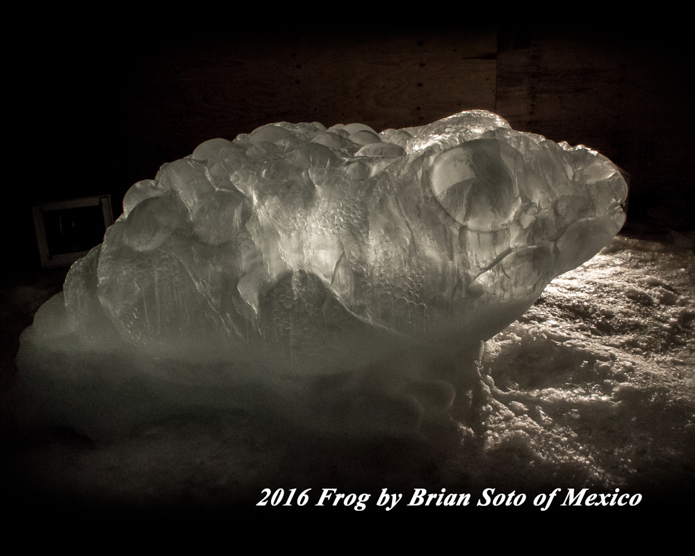ao-frog-site08-2016.jpg